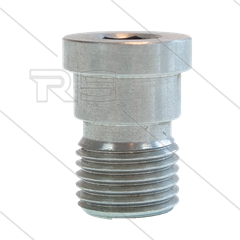 Nippel - RVS - 1/4" bu voor adapter 119070 