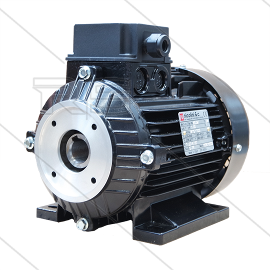 E-motor 2.2 kW - 230/400V - Ø24mm inwendige as - IEC 100 - pompserie: 44 - 50 - 51 - 53(E1) - 58(E2)