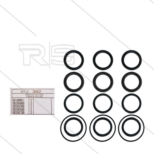 Kit 302 - Manchetset Ø50mm voor 3 plunjers - Serie AB